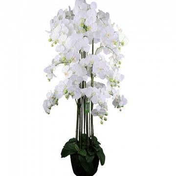 Τεχνητό Φυτό Ορχιδέα Phalaenopsis 1401-6 153cm White Supergreens