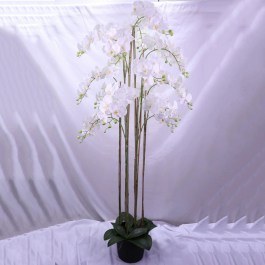 Τεχνητό Φυτό Ορχιδέα Phalaenopsis 7811-6 180cm White Supergreens WHITE