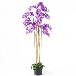 Τεχνητό Φυτό Ορχιδέα Phalaenopsis 8811-6 180cm Purple Supergreens PURPLE