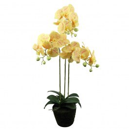 Τεχνητό Φυτό Ορχιδέα Phalaenopsis 8301-6 Κίτρινο 80cm Yellow Supergreens YELLOW
