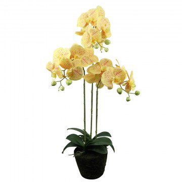 Τεχνητό Φυτό Ορχιδέα Phalaenopsis 8301-6 Κίτρινο 80cm Yellow Supergreens