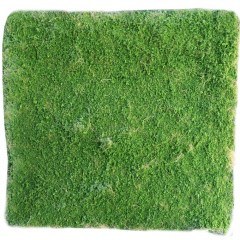 Τεχνητή Φυλλωσιά Moss 3971-7 100x100cm Green Supergreens