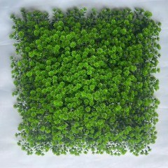 Τεχνητή Φυλλωσιά Moss Haircap 7281-7 50x50cm Green Supergreens