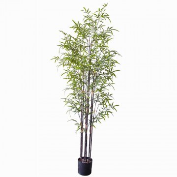Τεχνητό Δέντρο Μπαμπού Nigra 6001-6 210cm Green Supergreens