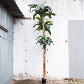 Artificial Banana Tree 4190-6 500cm Green Supergreens