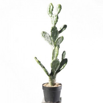 Artificial Prickly Pear Plant "Opuntia" 8101-6 76cm Green Supergreens