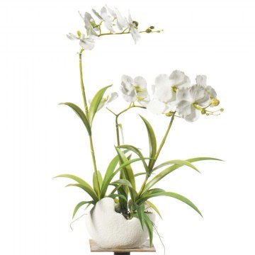 Τεχνητό Φυτό Ορχιδέα Phalaenopsis 8401-6 57cm White Supergreens