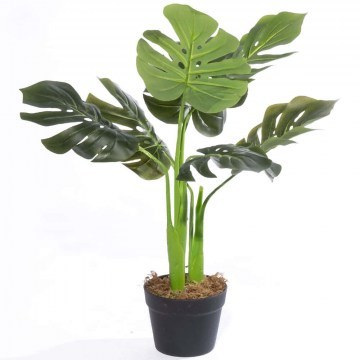 Τεχνητό Φυτό Μονστέρα Leafy 7211-6 70cm Green Supergreens