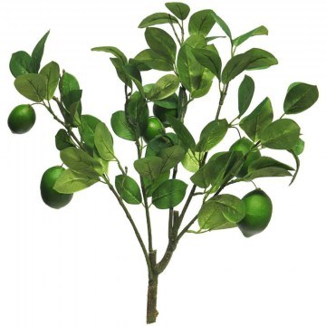 Artificial Branch Lemon 2012-7 60cm Green Supergreens