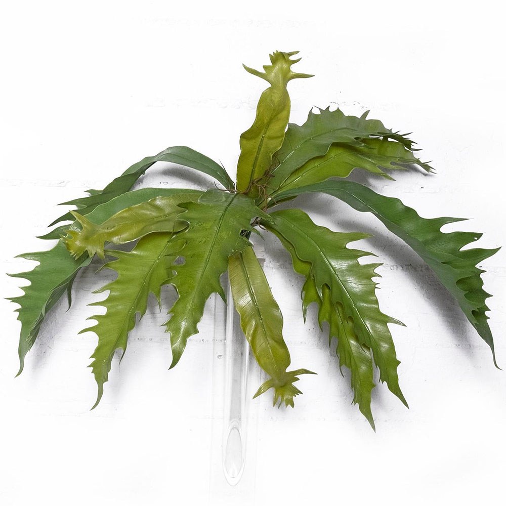 Τεχνητό Χωνευτό Πλατυκέριο 1102-7 57cm Green Supergreens