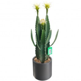 Τεχνητός Κάκτος Flora Spike 5031-6 30x30x80cm Green-White Supergreens GREEN