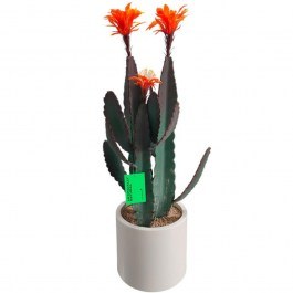 Τεχνητός Κάκτος Flora Spike 6031-6 30x30x80cm Green-Orange Supergreens GREEN-ORANGE