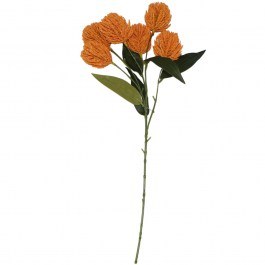 Τεχνητό Λουλούδι Βαγξία Natural Banksia 5481-7 52cm Orange Supergreens ORANGE