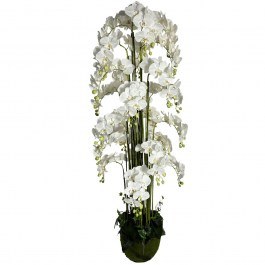 Τεχνητό Φυτό Ορχιδέα Phalaenopsis Με Moss 8621-6 180cm White Supergreens WHITE