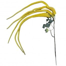 Artificial Branch Amaranth 0812-7 130cm Sunfall Yellow Supergreens YELLOW