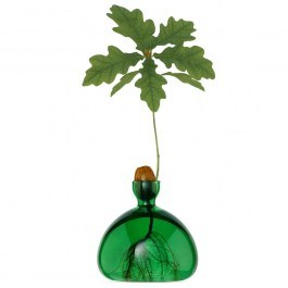 Acorn Growing Vase 001-3 10x10cm Emerald Green Ilex Studio EMERALD