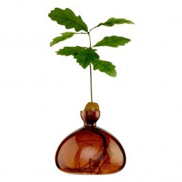 Acorn Growing Vase 001-8 10x10cm Russet Brown Ilex Studio BROWN