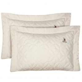 Μαξιλαροθήκες 2358 (Σετ 2τμχ) Ecru Greenwich Polo Club ECRU