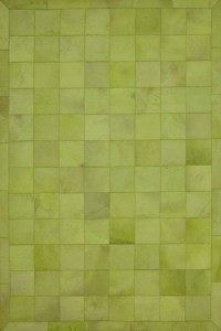 Carpet Senses Aslanis 209 Green