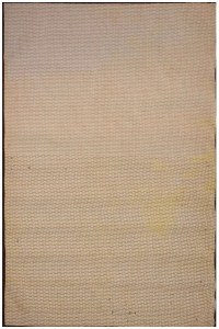 Carpet Hollywood Soft Texture 3414 Beige-Brown