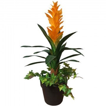 Τεχνητό Φυτό Bliatlokt 6-0064 58cm Green-Yellow Artekko