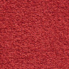 Wall-to-Wall Carpet Panorama 22 Terra Red 13mm Klonaras