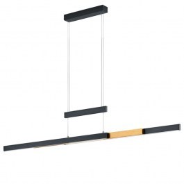 Ceiling Lamp - Rail Trajan 375310502 42W Led 95-150cm Black-Brass Trio Lighting BLACK-BRASS