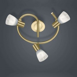 Ceiling Illuminant-Spot Led Levisto 3x400Lm 21x30cm Brass Mat 871090308 Trio Lighting BRASS