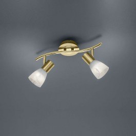 Ceiling Illuminant-Spot Led Levisto 2x400Lm 33x19x10cm Brass Mat 871010208 Trio Lighting BRASS