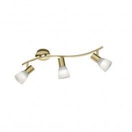 Ceiling Illuminant-Spot Led Levisto 3x400Lm 55x19x10cm Brass Mat 871010308 Trio Lighting BRASS