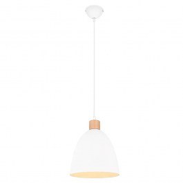 Ceiling Lamp Jagger R30681031 1xE27 40W D25cm 150cm White Mat RL Lighting WHITE