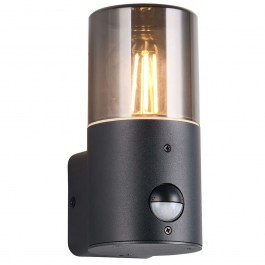 Wall Lamp - Sconce With Sensor Hoosic 222260132 8x17cm 1xE27 28W Black Trio Lighting BLACK