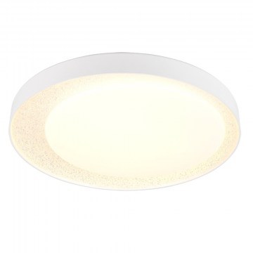 Ceiling Lamp Aleta R64611101 Led 24W 6500K D45x8cm White RL Lighting