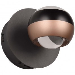 Wall Lamp - Sconce Orbit 244410132 13,5x15,5x13,5cm 1xDim Led 960lm 8W Black-Coffee Trio Lighting COFFEE-BLACK