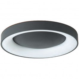 Ceiling Lamp 77-8153 Led Smart 60cm Amaya Black Homelighting BLACK