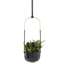 Pot Hanging Bolo 1009571-040 Black Umbra BLACK