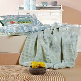 Blanket Illusion 10 Veraman Kentia VERAMAN