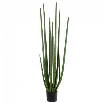 Τεχνητό Φυτό Σε Γλάστρα Sansevieria Cylindrica 20211 160cm Light Green Globostar