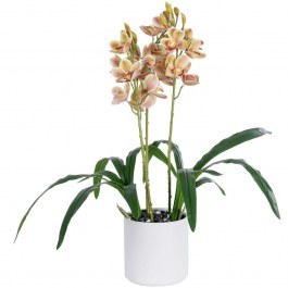 Τεχνητό Φυτό Cherry Cumbidium 21404 Φ34x60cm Champagne GloboStar CHAMPAGNE