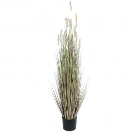 Τεχνητό Φυτό Lagurus 21102 Φ50x140cm Beige GloboStar BEIGE
