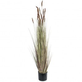 Τεχνητό Φυτό Lagurus 21101 Φ50x140cm Brown GloboStar BROWN