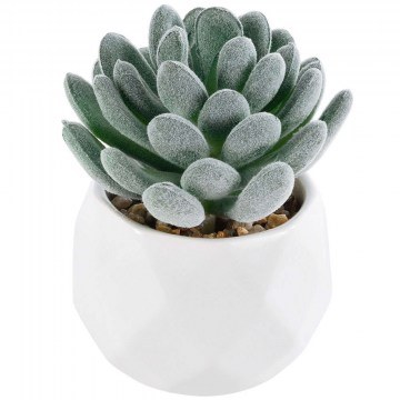 Τεχνητό Φυτό Σε Κασπώ Sedeveria 21001 Φ7x9,5cm Green-White GloboStar