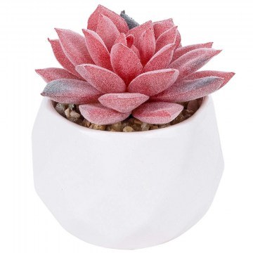 Τεχνητό Φυτό Σε Κασπώ Sedeveria 20989 Φ6,5x8cm Pink-White GloboStar