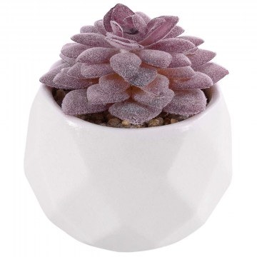 Artificial Plant In Pot Sedeveria 21005 D7x8cm Purple-White GloboStar