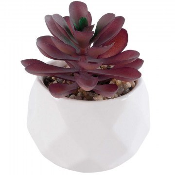 Artificial Plant In Pot Crassula 21004 D7x9,5cm Brown-White GloboStar