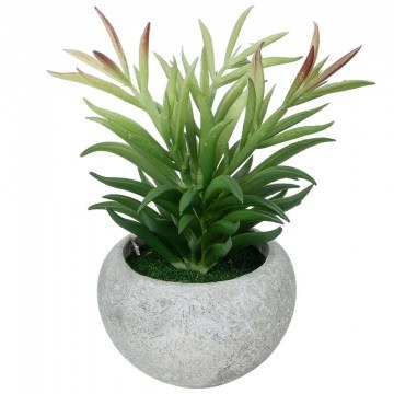 Τεχνητό Φυτό Σε Κασπώ Crassula 21038 Φ10x17cm Grey-Green GloboStar