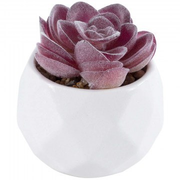 Τεχνητό Φυτό Σε Κασπώ Echeveria 21000 Φ7x7,5cm Purple-White GloboStar