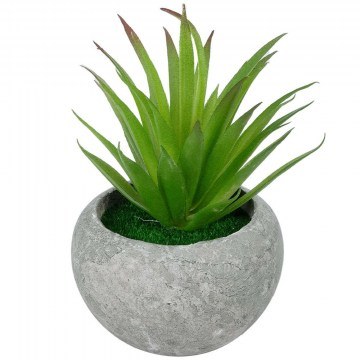 Τεχνητό Φυτό Σε Κασπώ Tillandsia 21036 Φ12x15cm Grey-Green GloboStar