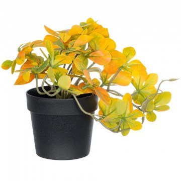 Τεχνητό Φυτό Schefflera 20955 Φ20x18cm Green-Yellow GloboStar