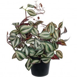 Artificial Plant Zebrina 20961 D45x22cm Multi GloboStar MULTI